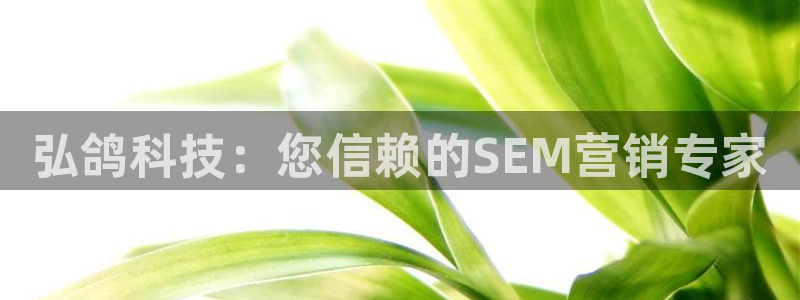 金年会平台是黑网还是白网