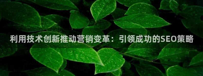 金年会体育app属于正规平台吗