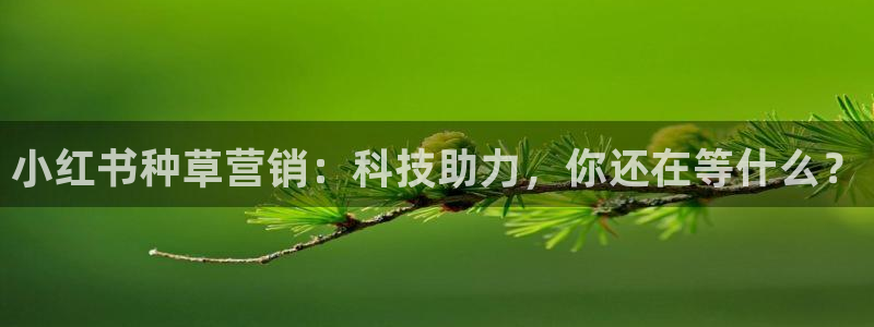 金年会官方网