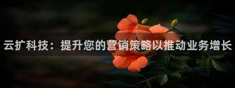 金年会app下载官网登录不了