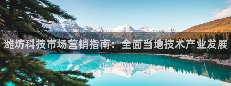 金年会黑平台不给出款