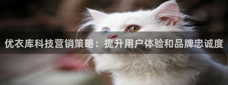 金年会体育平台官网下载