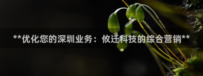 金年会体育平台是真的吗知乎
