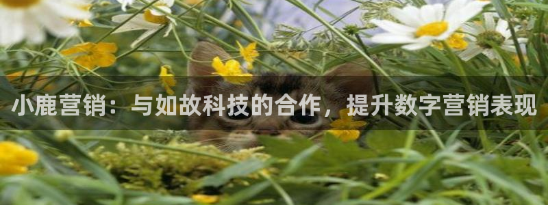 金年会体育官方app下载安卓
