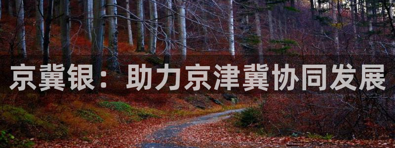 金年会体育官方app下载