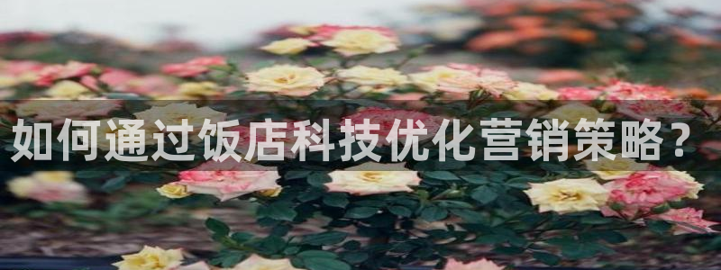 金年会体育网页登录