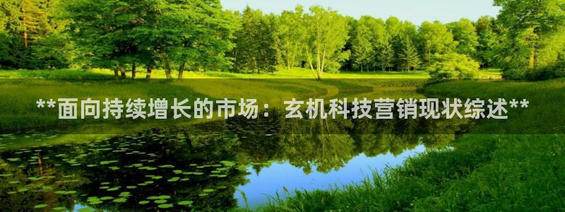 金年会网站提现一直显示审核当中怎么办