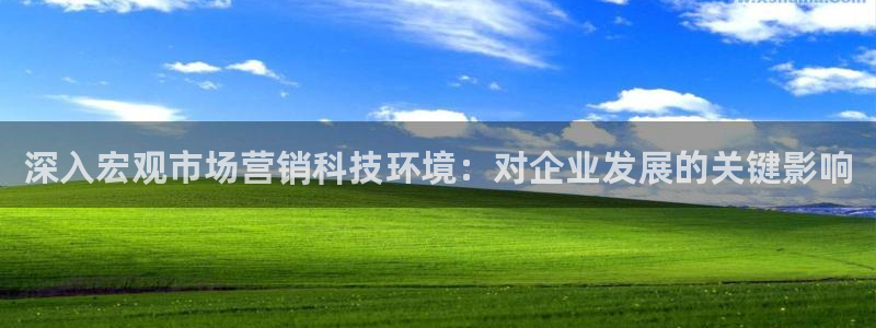 金年会官方网站入口网址