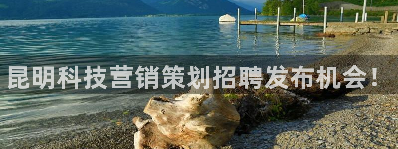 金年会体育官方