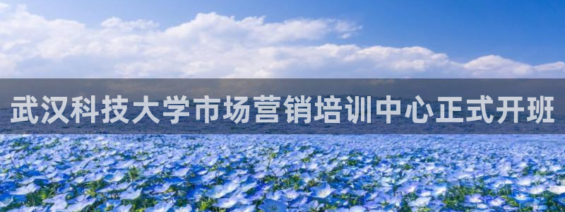 金年会ivp