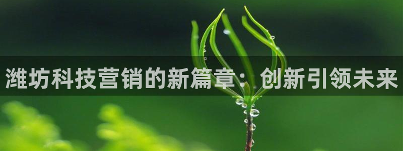 金年会手机版怎么下载