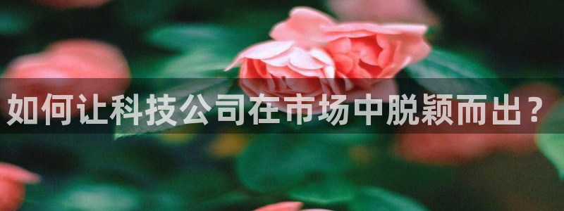 金年会体育电子官方网站