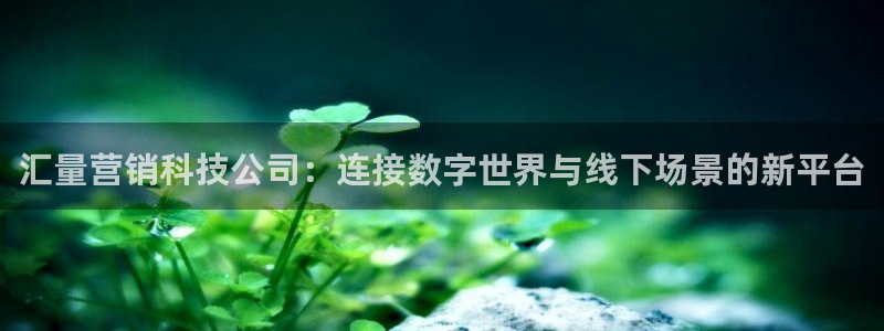 金年会体育网页版
