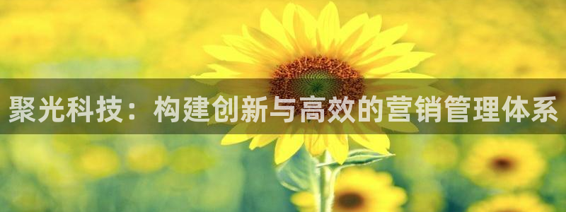 金年会官方网站入口登录