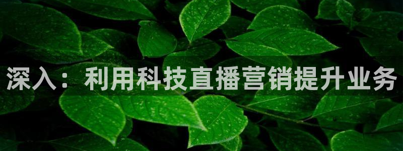 金年会app官网免费下载