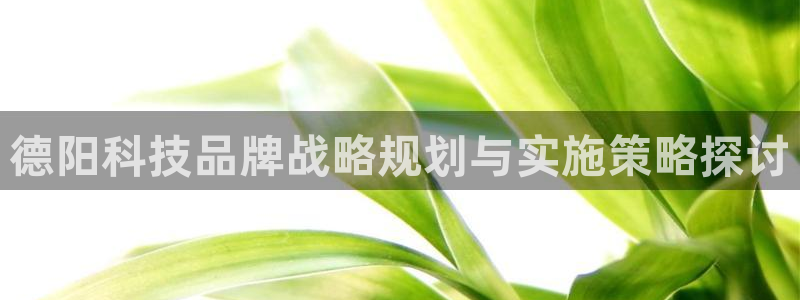 金年会vip网页版在线登录入口官网