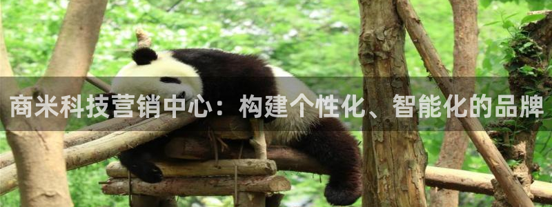 金年会体育app网页版官方入口