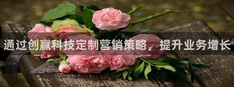 金年会体育app最新官网入口网址是什么
