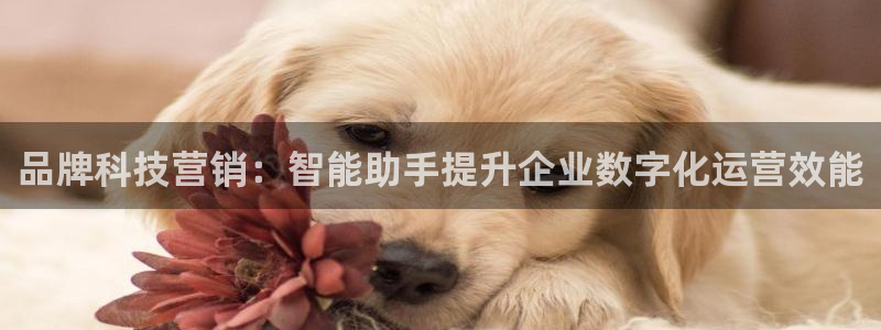 金年会los版下载