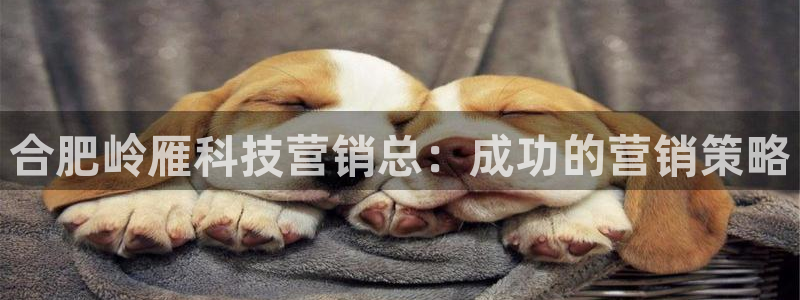 金年会下载官方