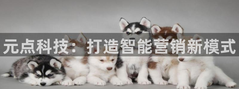 金年会下载链接
