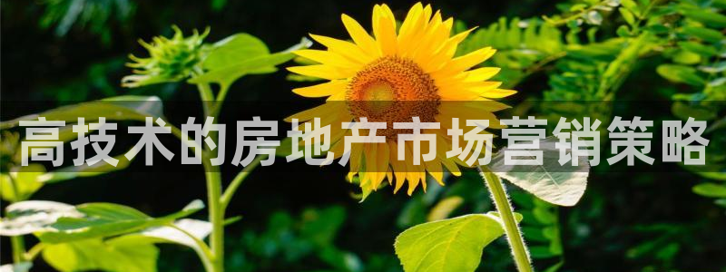 金年会手机版