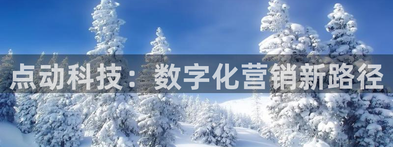 金年会网站稳不稳