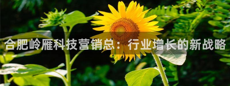 金年会体育买球app下载