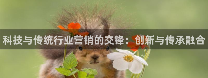 金年会入口