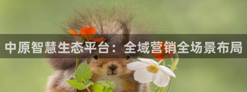 金年会诚信至上