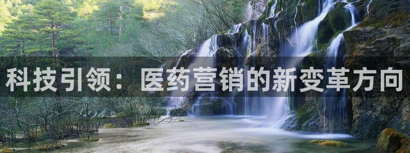 金年会体育平台怎么样