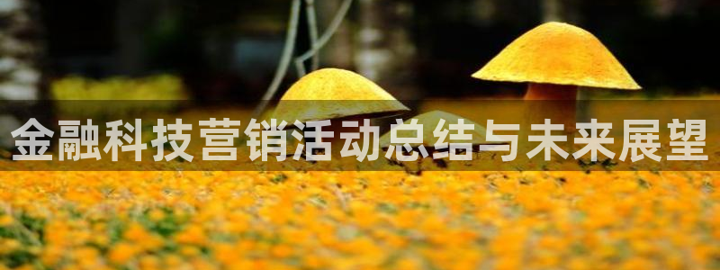 金年会诚信至上