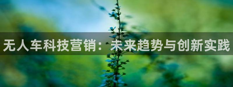 金年会官方在线入口网站查询