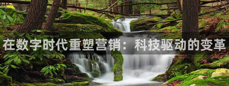 金年会电子官网
