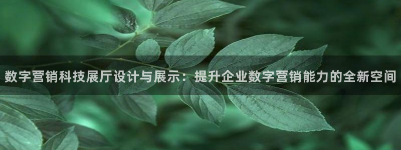 金年会体育app平台怎么样可靠吗