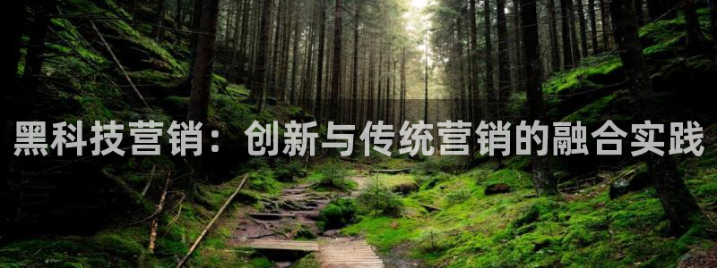 金年会网址导航下载安装