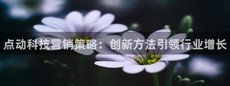 金年会体育app下载官网安卓手机