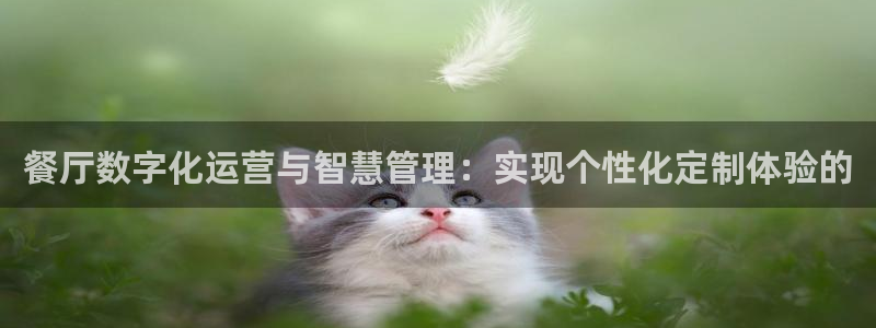 金年会体育官网入口
