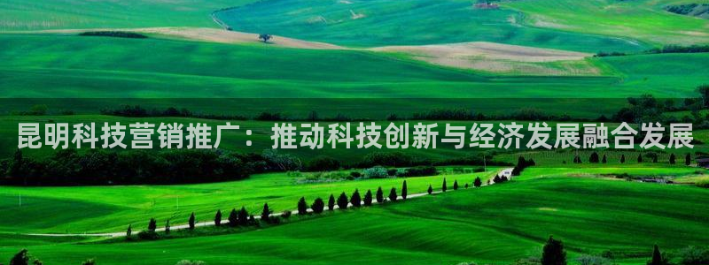 金年会体育官方入口