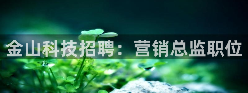 金年会官方入口网站下载