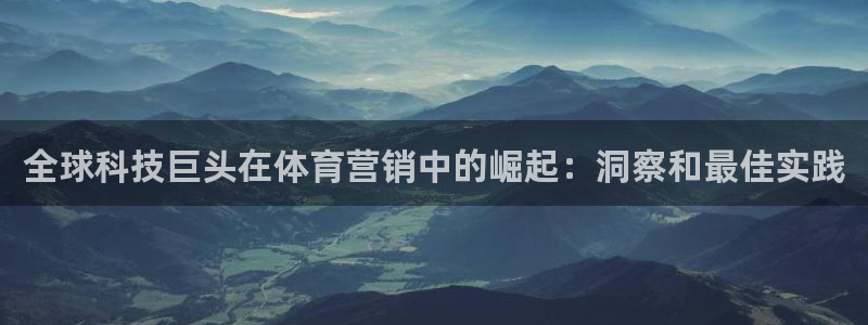 今年会金年会