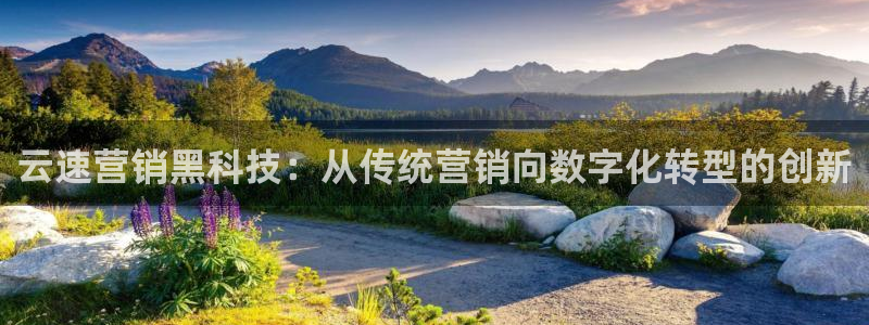 金年会网址导航在线播放
