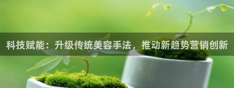 金年会网站洗黑钱