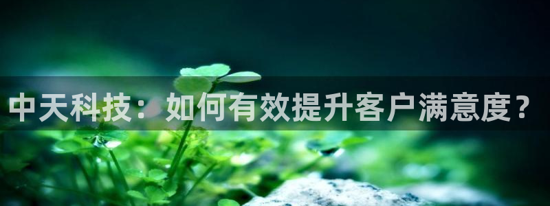 金年会网站入口