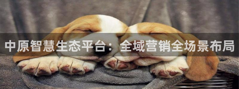 金年会体育平台是真的吗