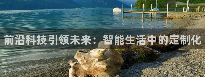 金年会ios