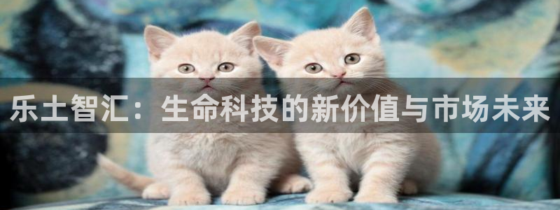 金年会官方app下载苹果