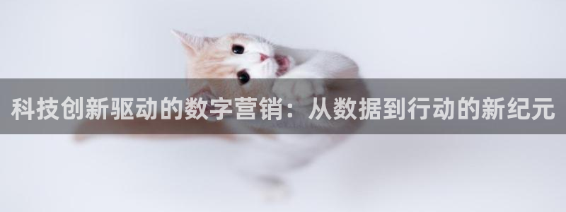 金年会官方平台是什么