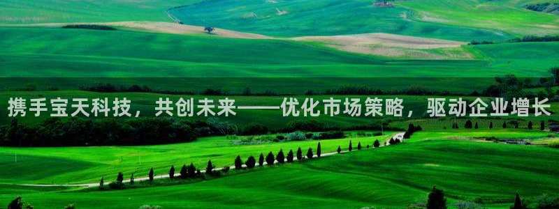 今年会金年会