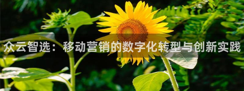金年会体育手机app下载官网